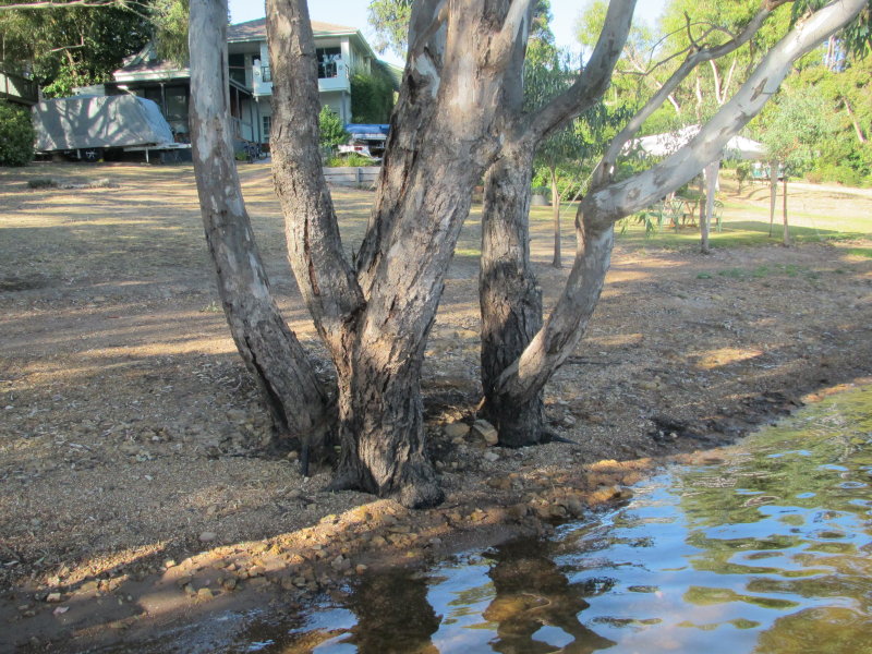 3 Dawn Crescent, Bonnie Doon - Thumbnail 4