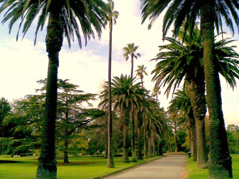 Image of property