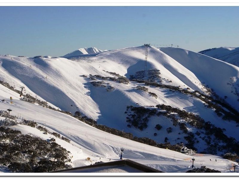 511 Arlberg, Mount Hotham - Thumbnail 3