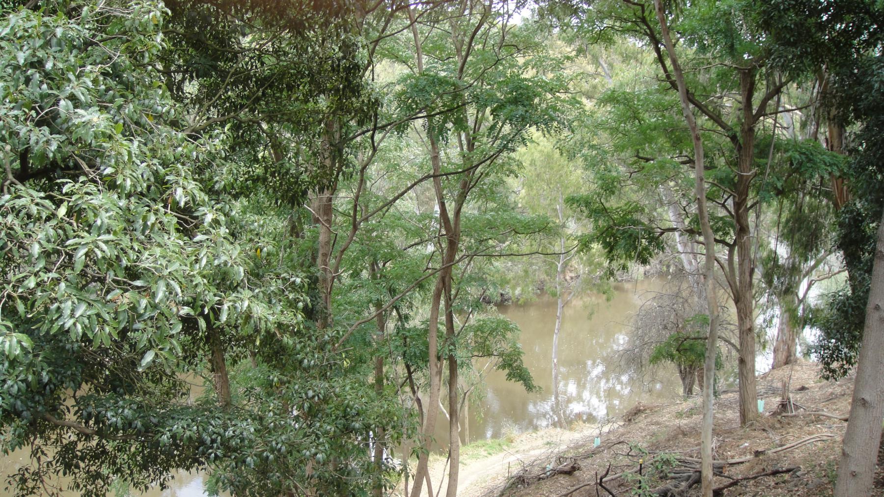 Image of property