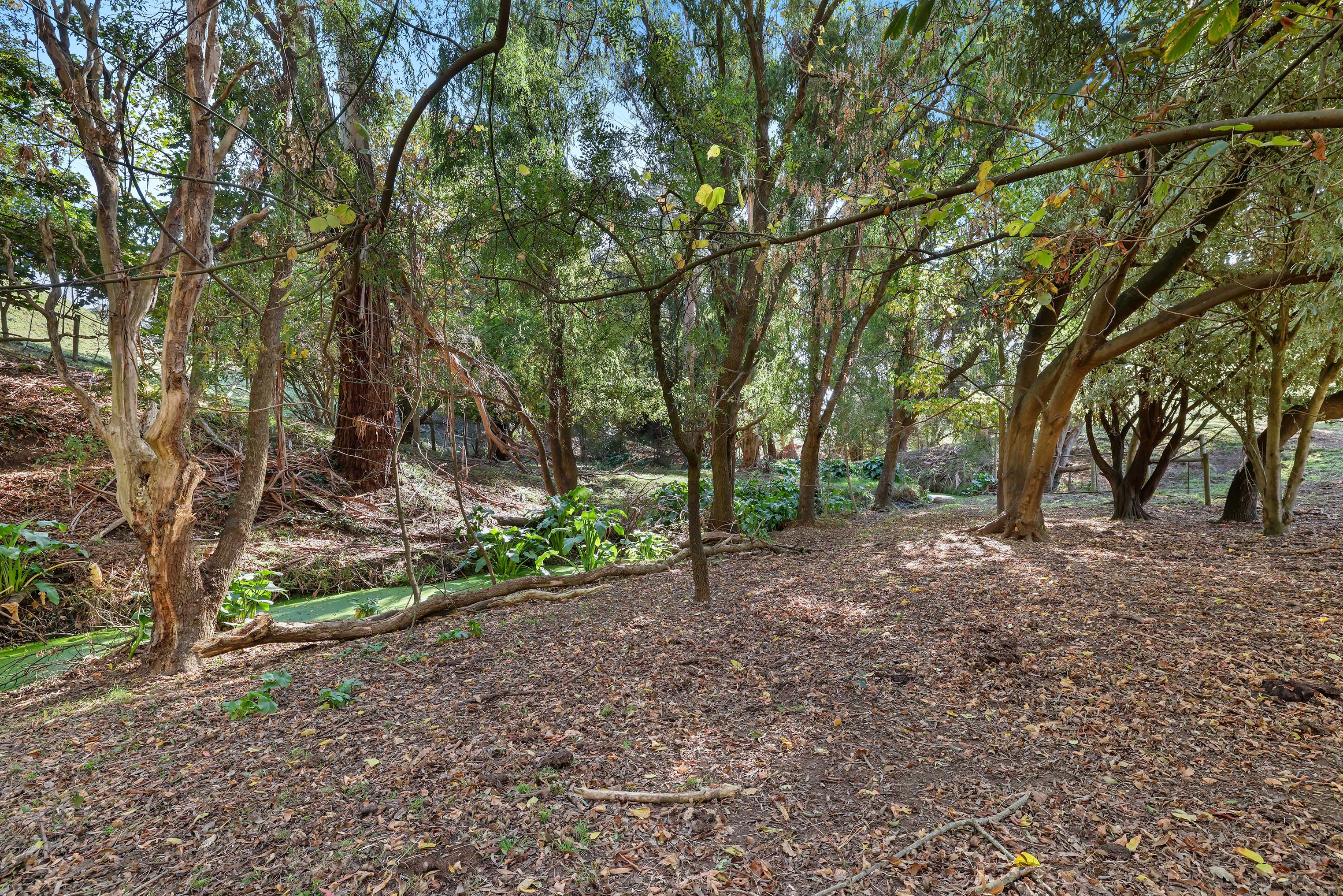 Image of property