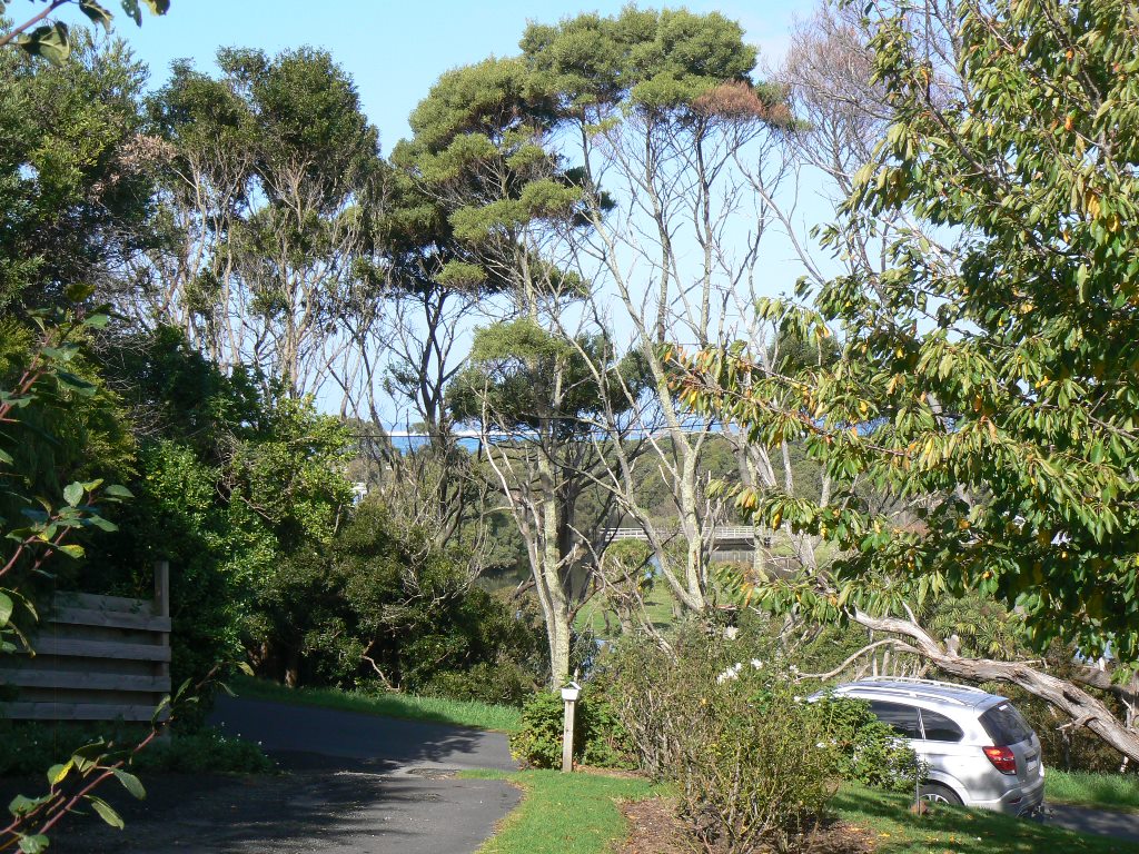 56 Gambier Street, Apollo Bay - Thumbnail 6
