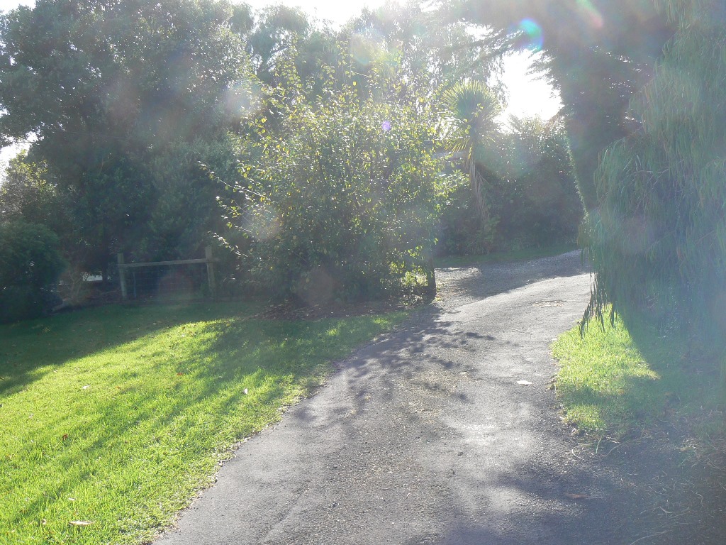 56 Gambier Street, Apollo Bay - Thumbnail 4