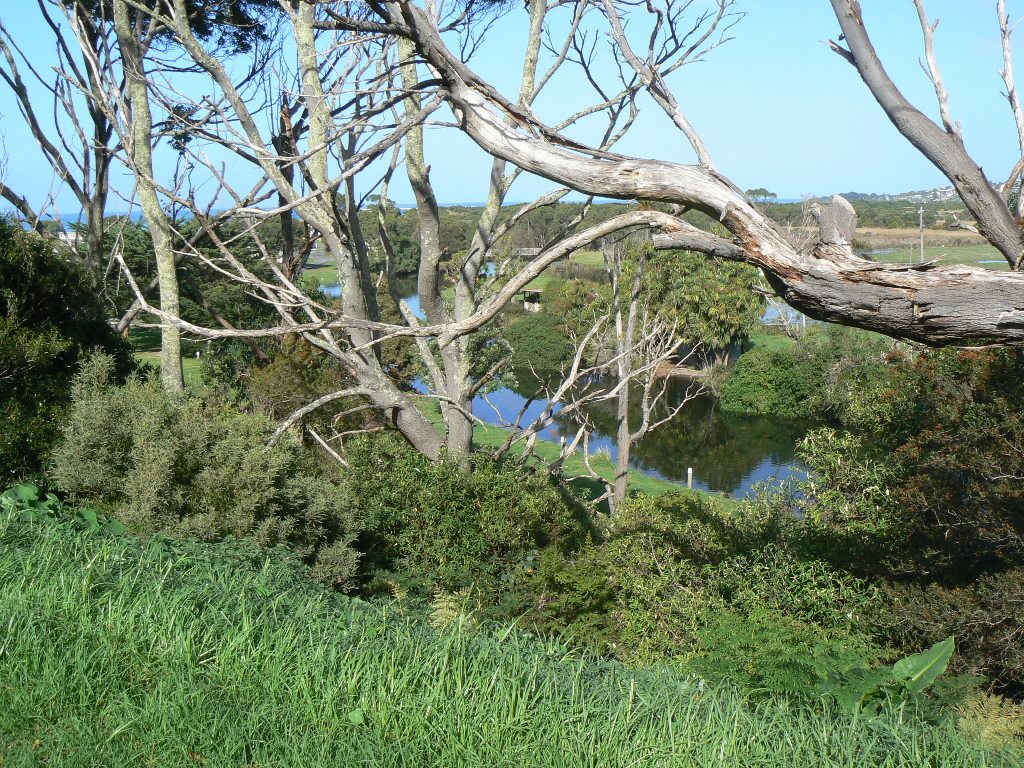 56 Gambier Street, Apollo Bay - Thumbnail 2