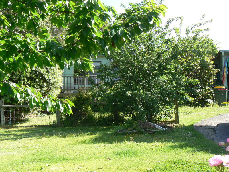 56 Gambier Street, Apollo Bay - Thumbnail 3