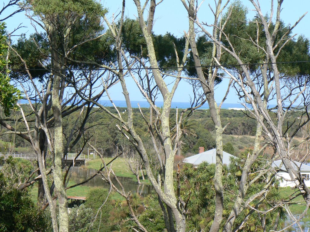56 Gambier Street, Apollo Bay - Thumbnail 5