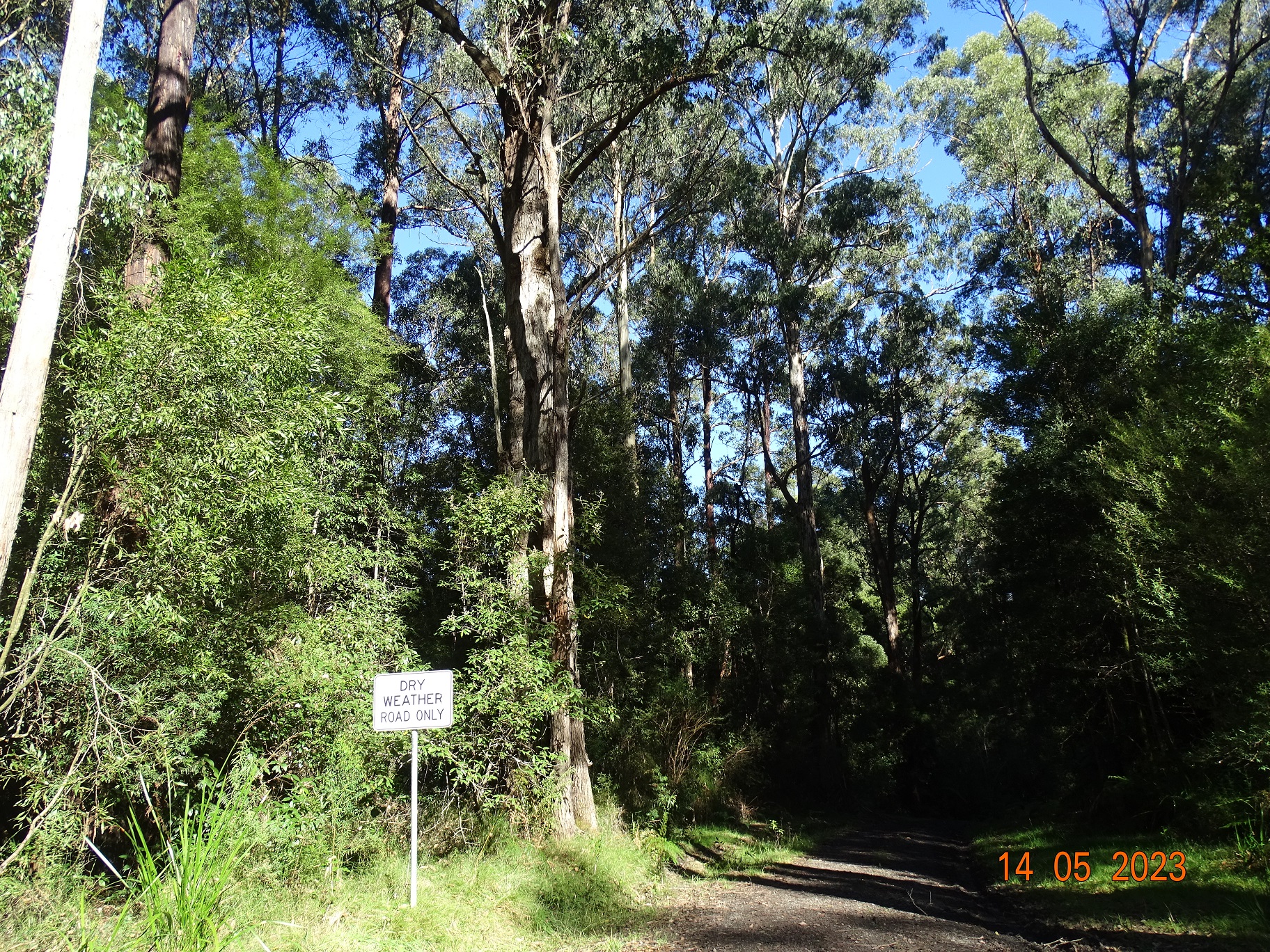 450 Morris Track, Lavers Hill - Thumbnail 4