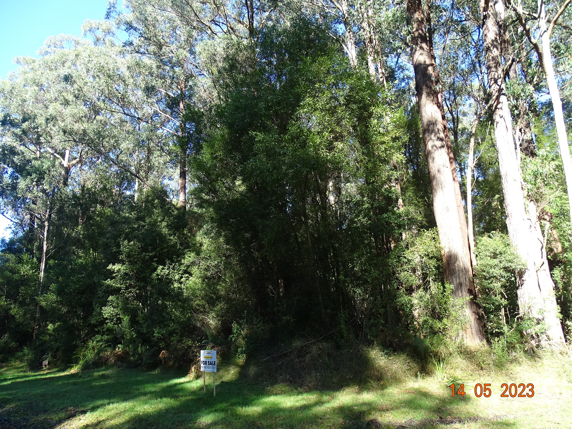 450 Morris Track, Lavers Hill - Thumbnail 5
