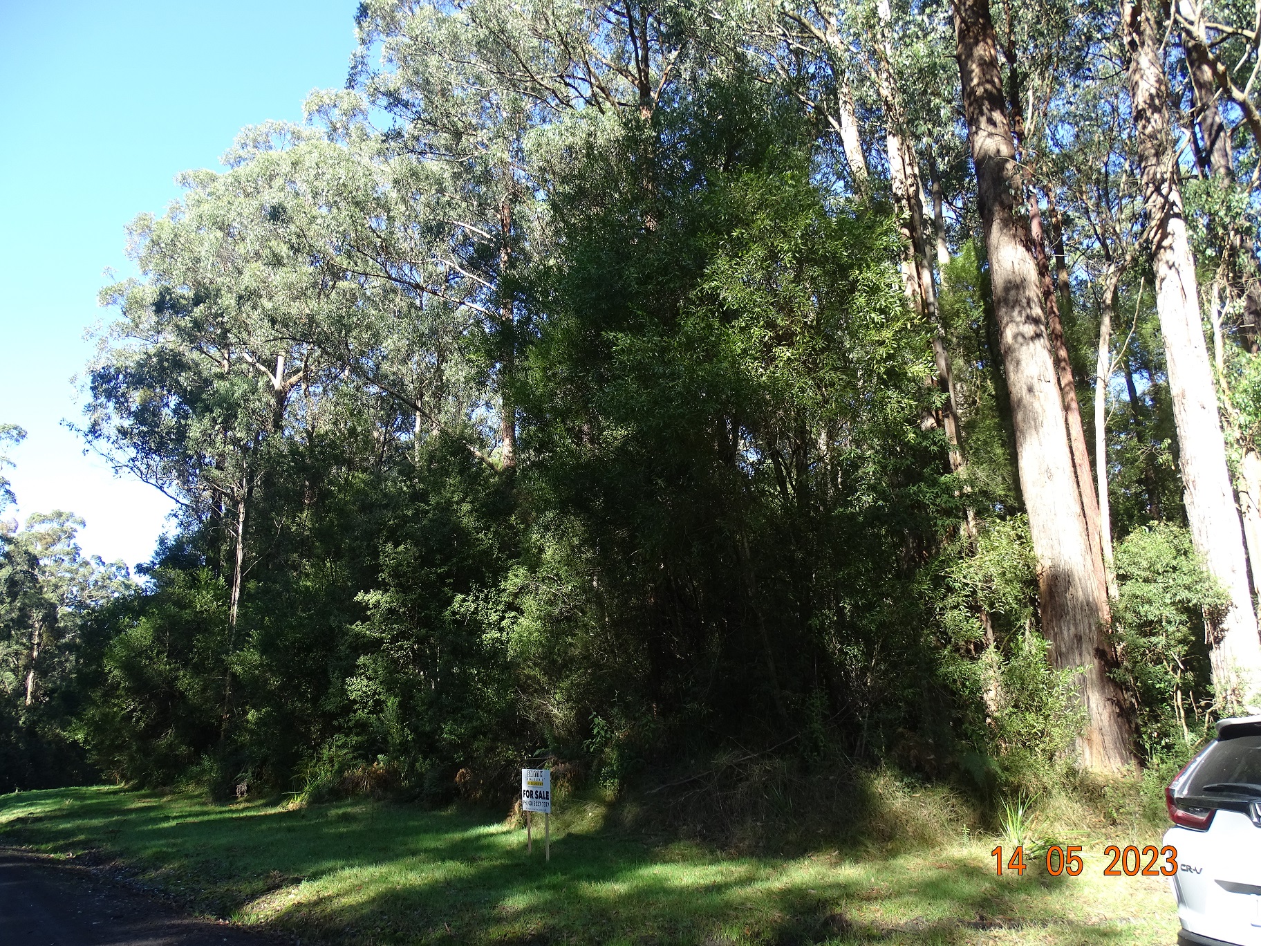 450 Morris Track, Lavers Hill - Thumbnail 3