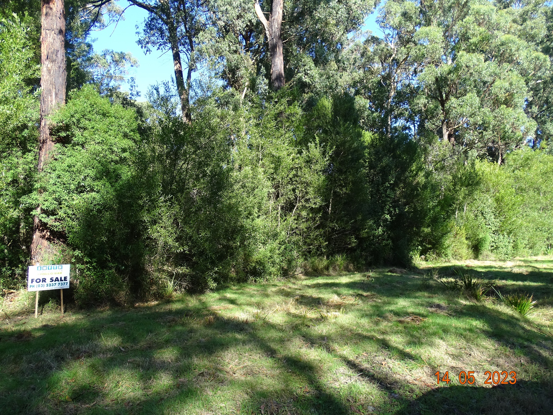 450 Morris Track, Lavers Hill - Thumbnail 6