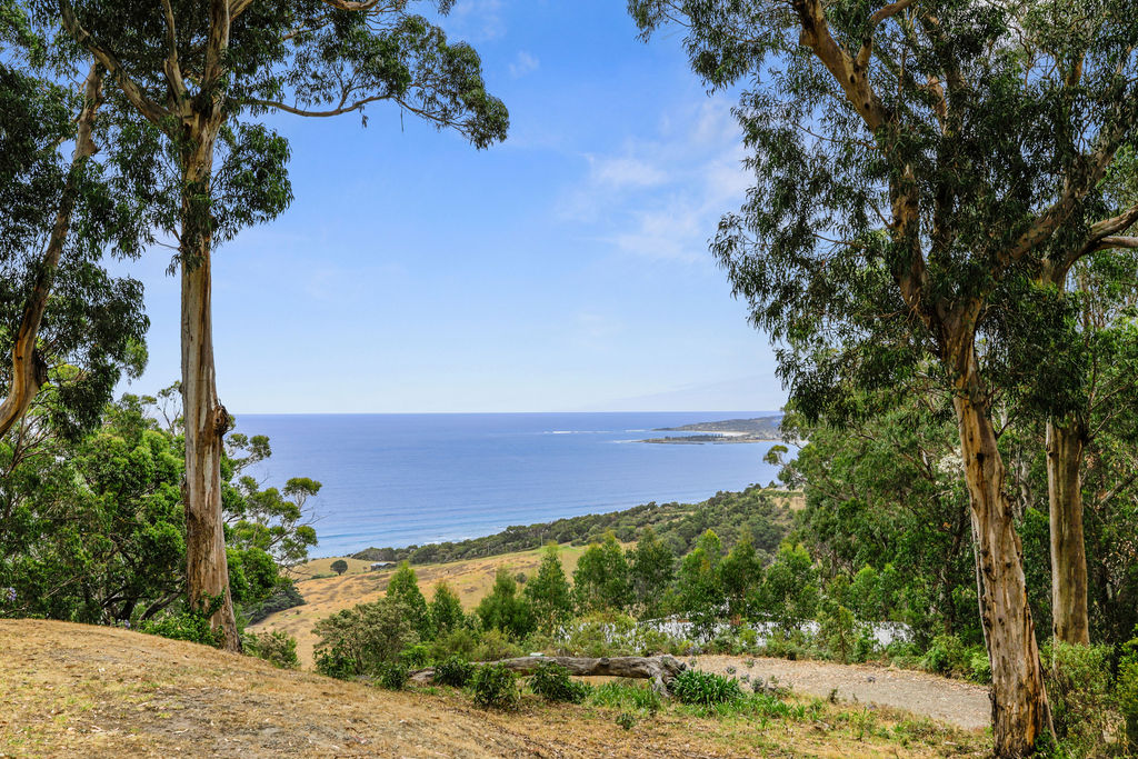 6/270 Skenes Creek Road, Skenes Creek - Thumbnail 4