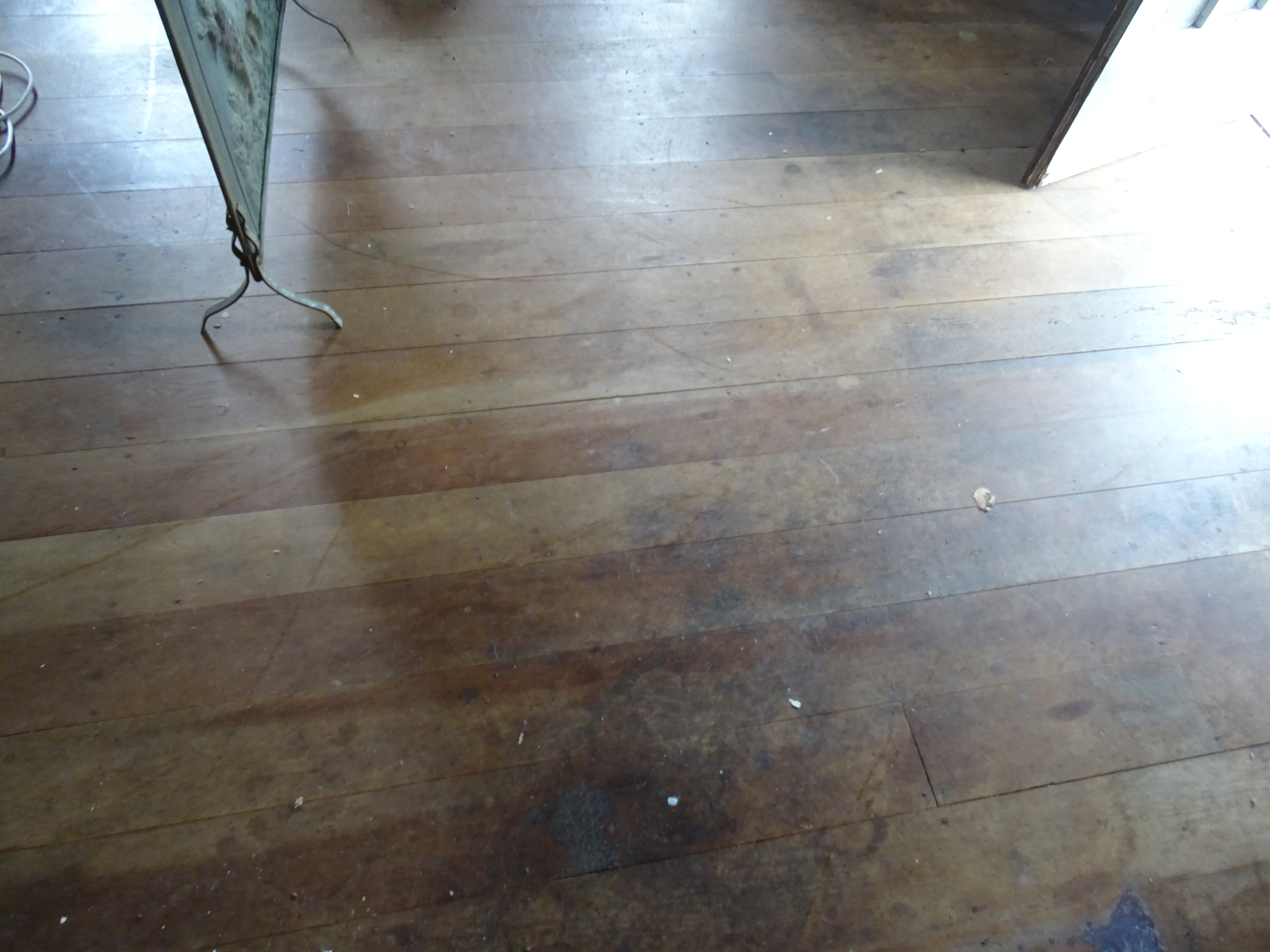 33 Montrose Avenue, Apollo Bay - Thumbnail 4