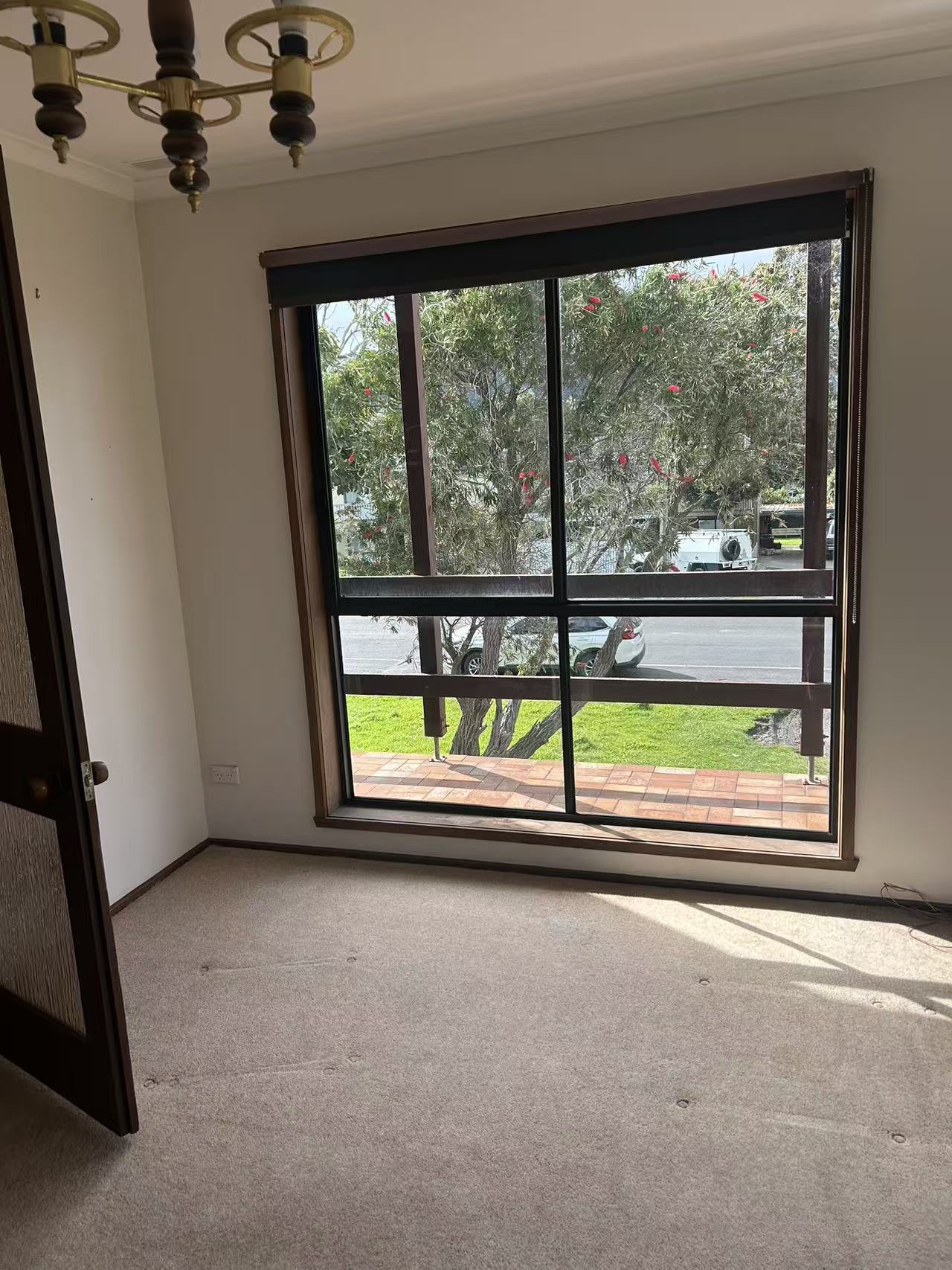 37 Nelson Street, Apollo Bay - Thumbnail 6
