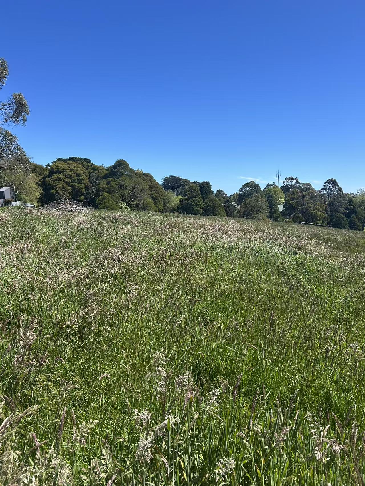 18A/18A Great Ocean Road, Lavers Hill - Thumbnail 2