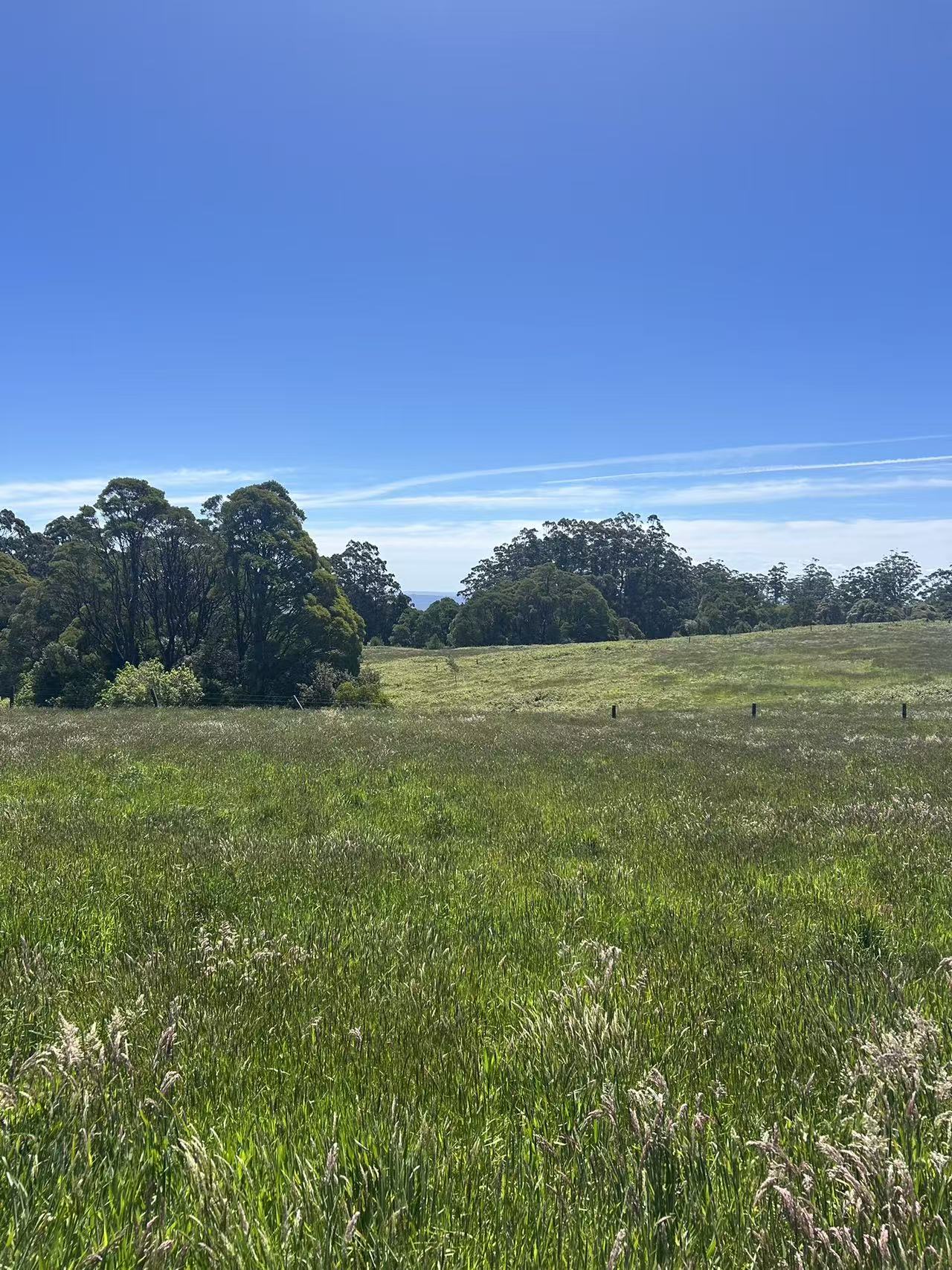 18A/18A Great Ocean Road, Lavers Hill - Thumbnail 3
