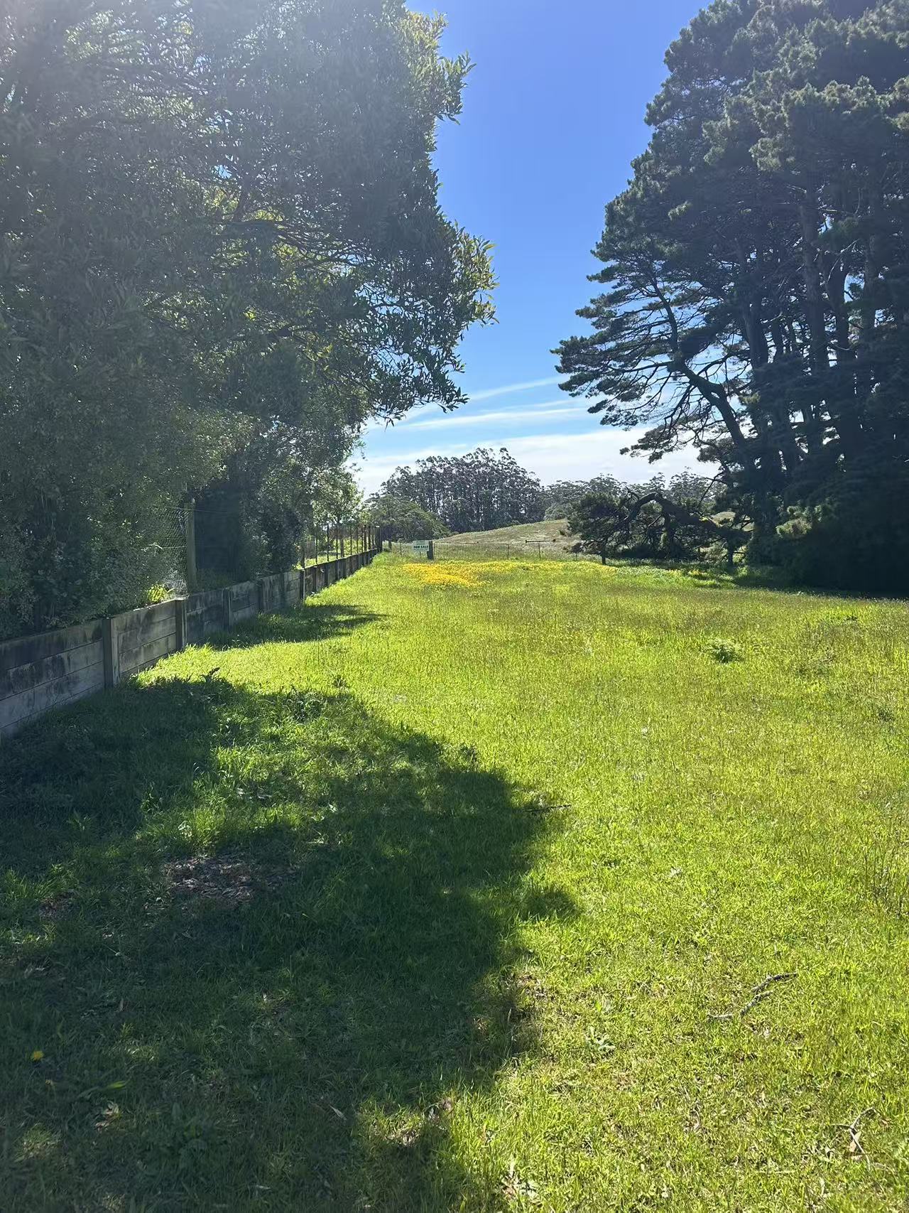 18A/18A Great Ocean Road, Lavers Hill - Thumbnail 5