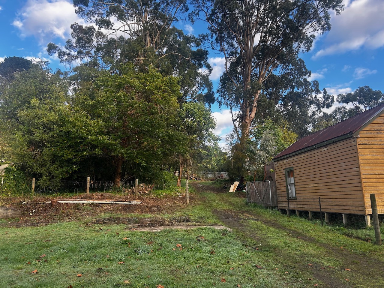 12 Station Street, Forrest - Thumbnail 5