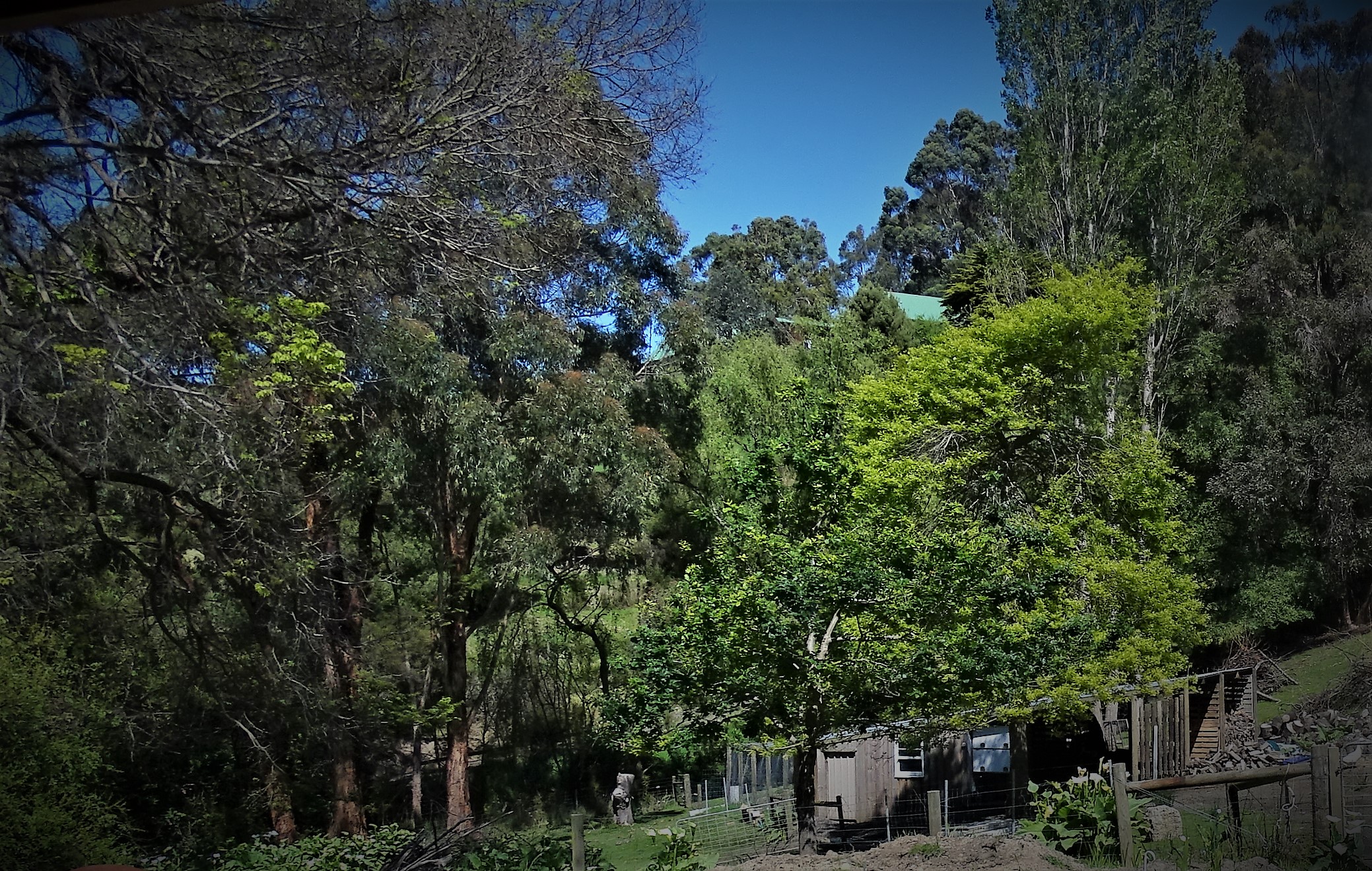 75 Marriners Lookout Road, Apollo Bay - Thumbnail 8
