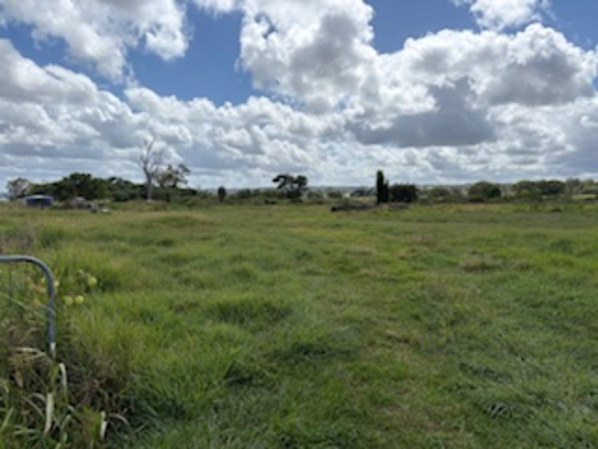 Image of property