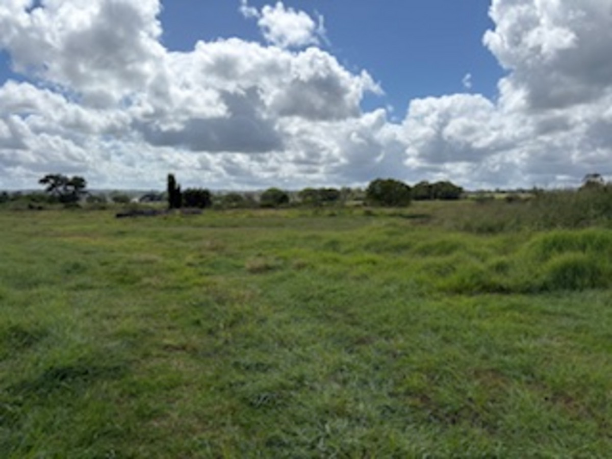 Image of property