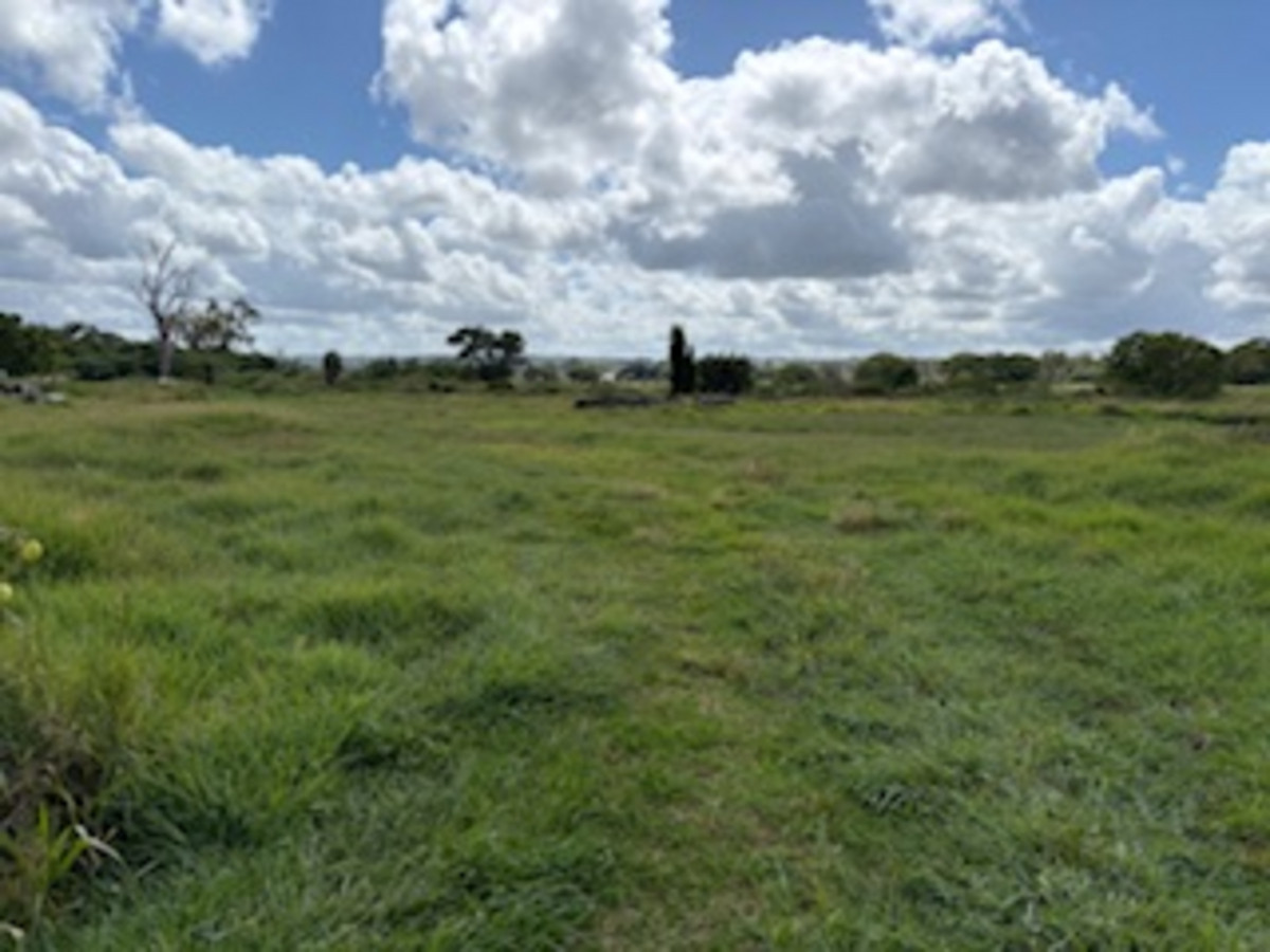 Image of property