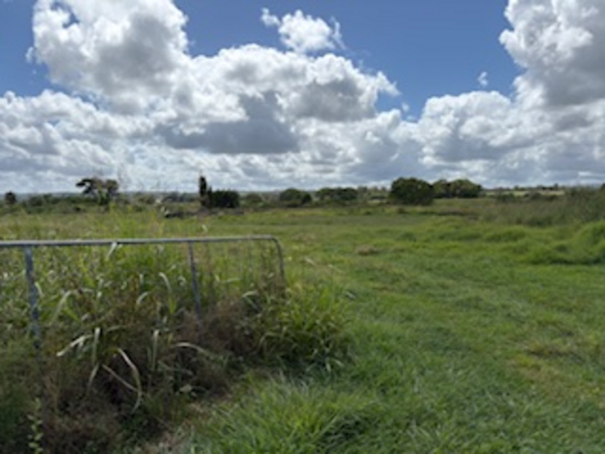 Image of property