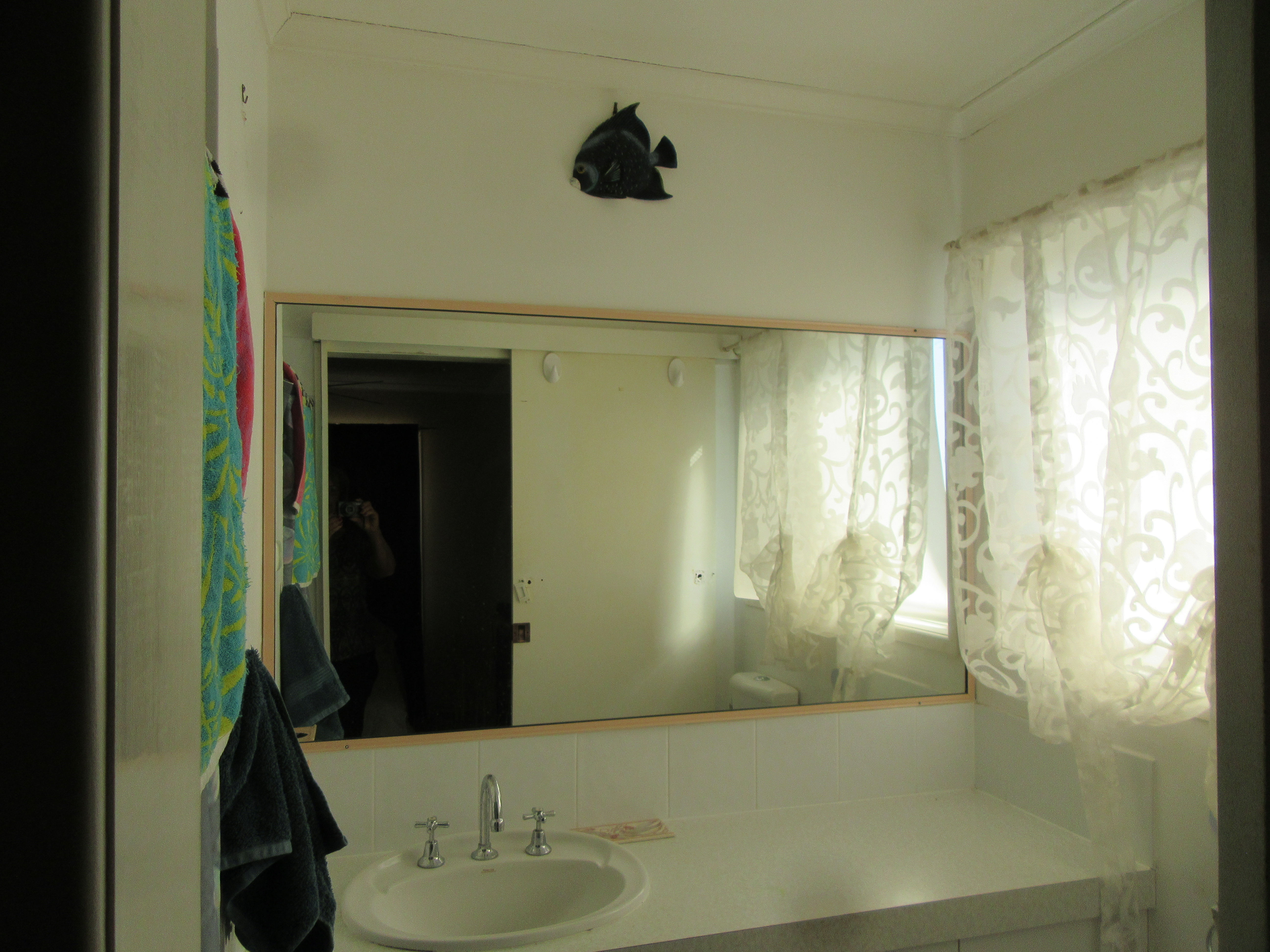 7 Ollie Crt, Beaudesert - Thumbnail 8