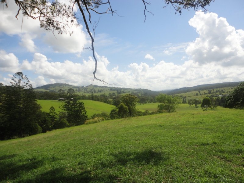 11658 Mt Lindesay Highway, Beaudesert - Thumbnail 8