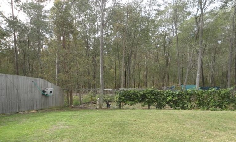 6  Hillside Cres, Beaudesert - Thumbnail 6