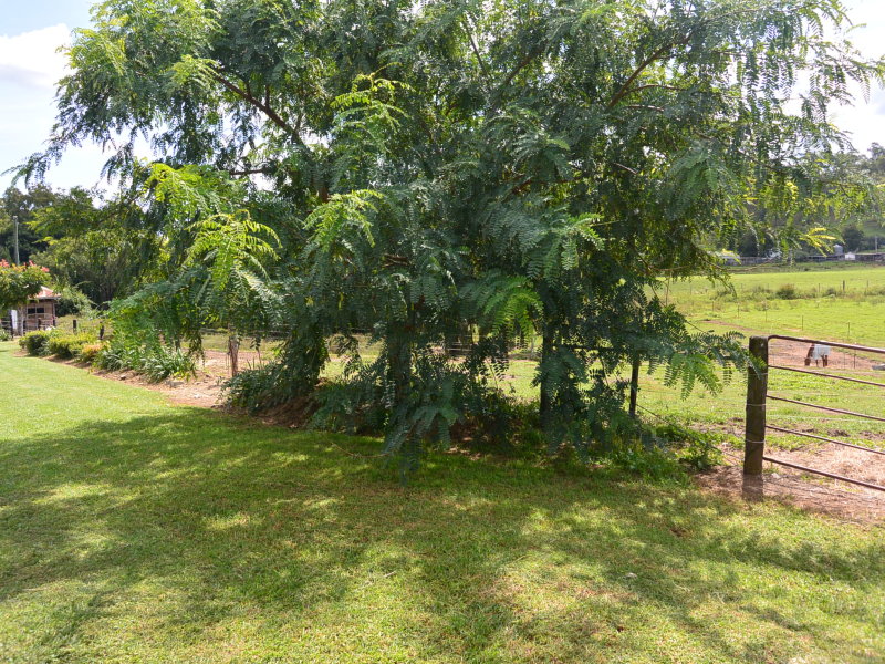 1061 Christmas Creek Road, Christmas Creek - Thumbnail 6
