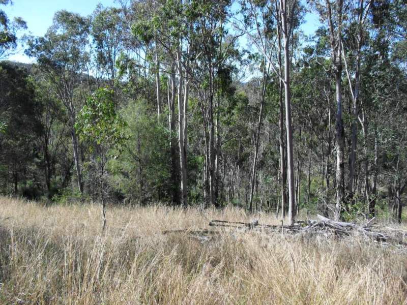 , KOORALBYN, QLD 4285, Kooralbyn - Thumbnail 5