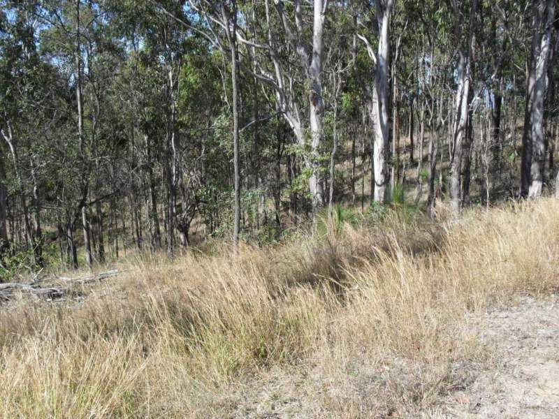 , KOORALBYN, QLD 4285, Kooralbyn - Thumbnail 6