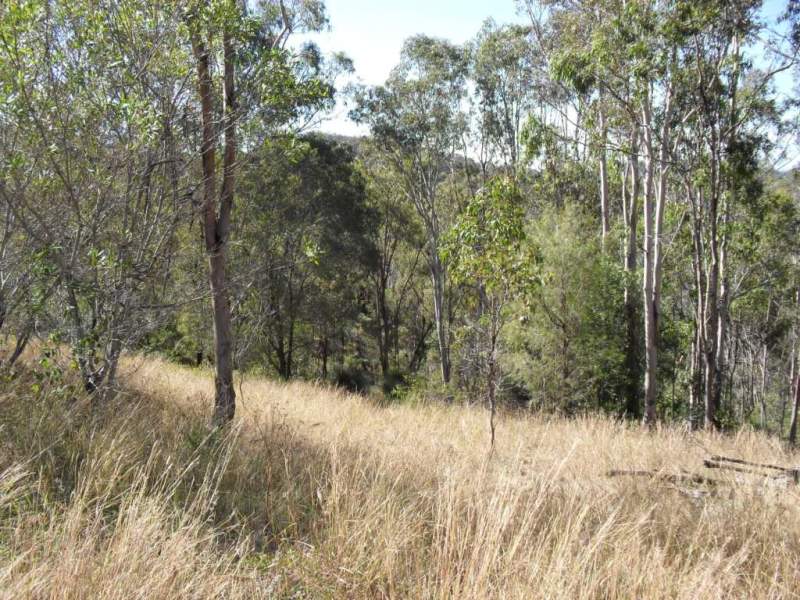 , KOORALBYN, QLD 4285, Kooralbyn - Thumbnail 4
