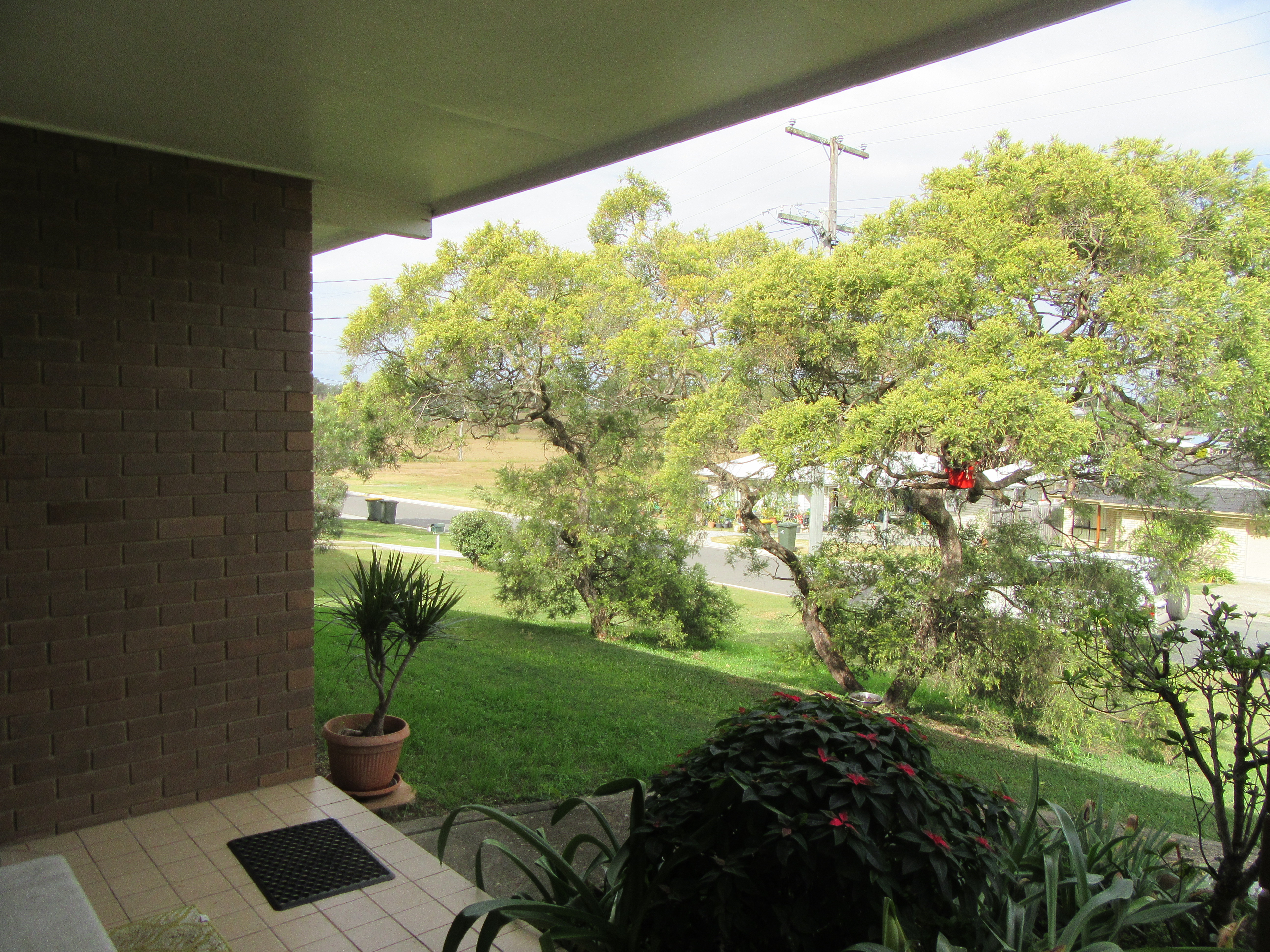 14 James St, Beaudesert - Thumbnail 3