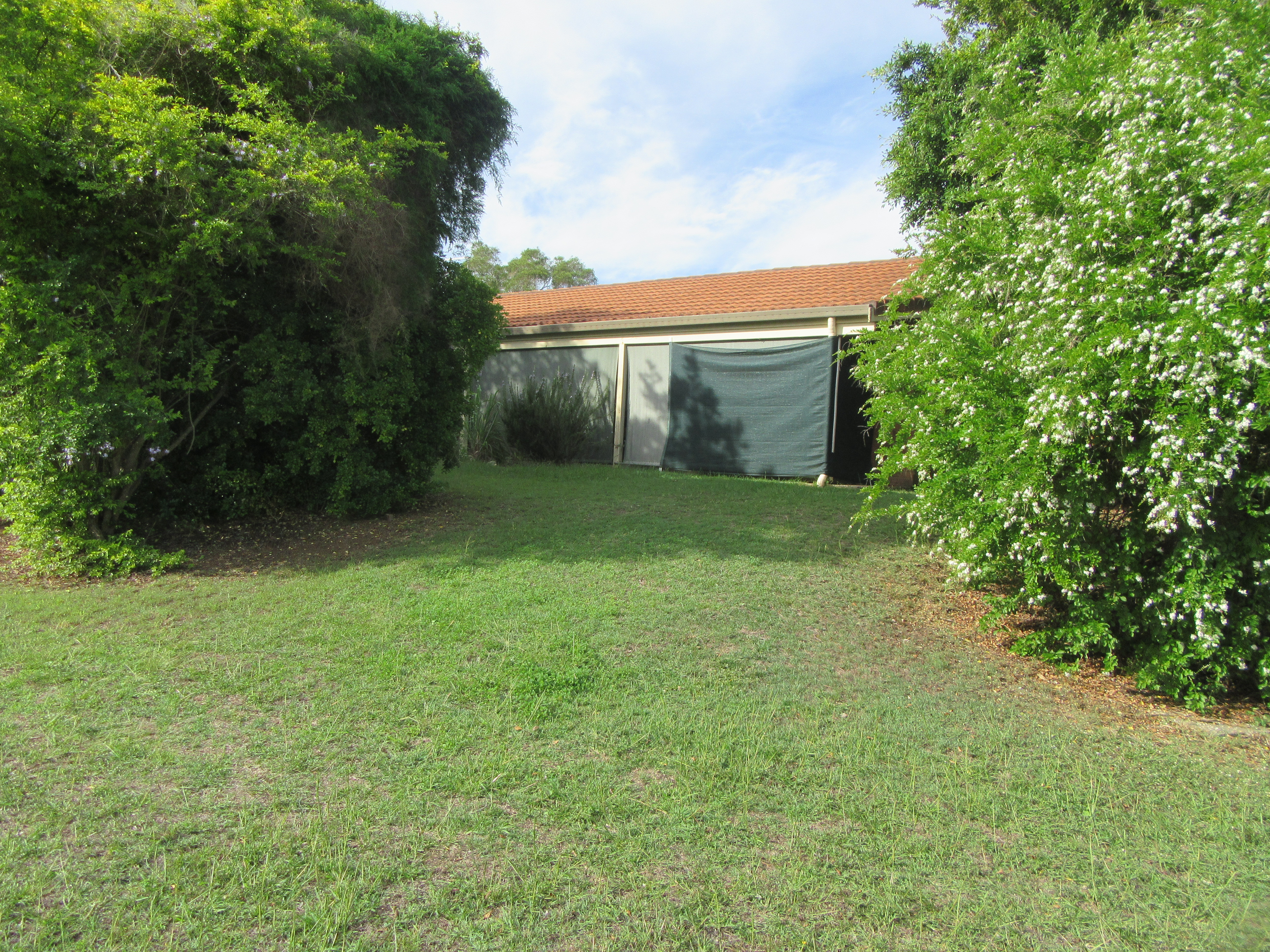 13 Cedar Drv, Beaudesert - Thumbnail 3