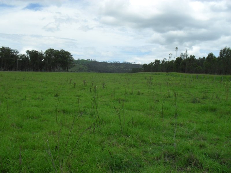 , LARAVALE, QLD 4285, Laravale - Thumbnail 2