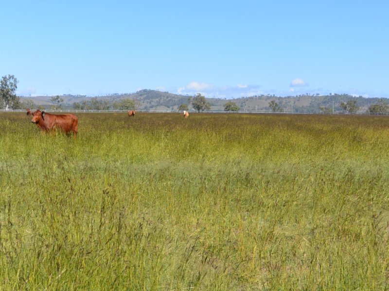 Sullivan Road, Beaudesert - Thumbnail 8