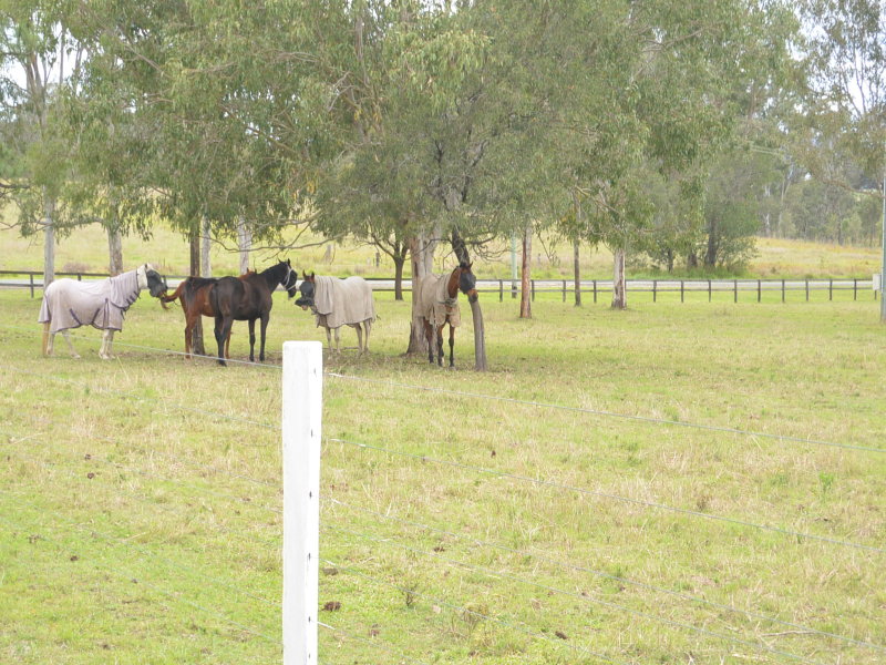 603 Brookland Road, Beaudesert - Thumbnail 2