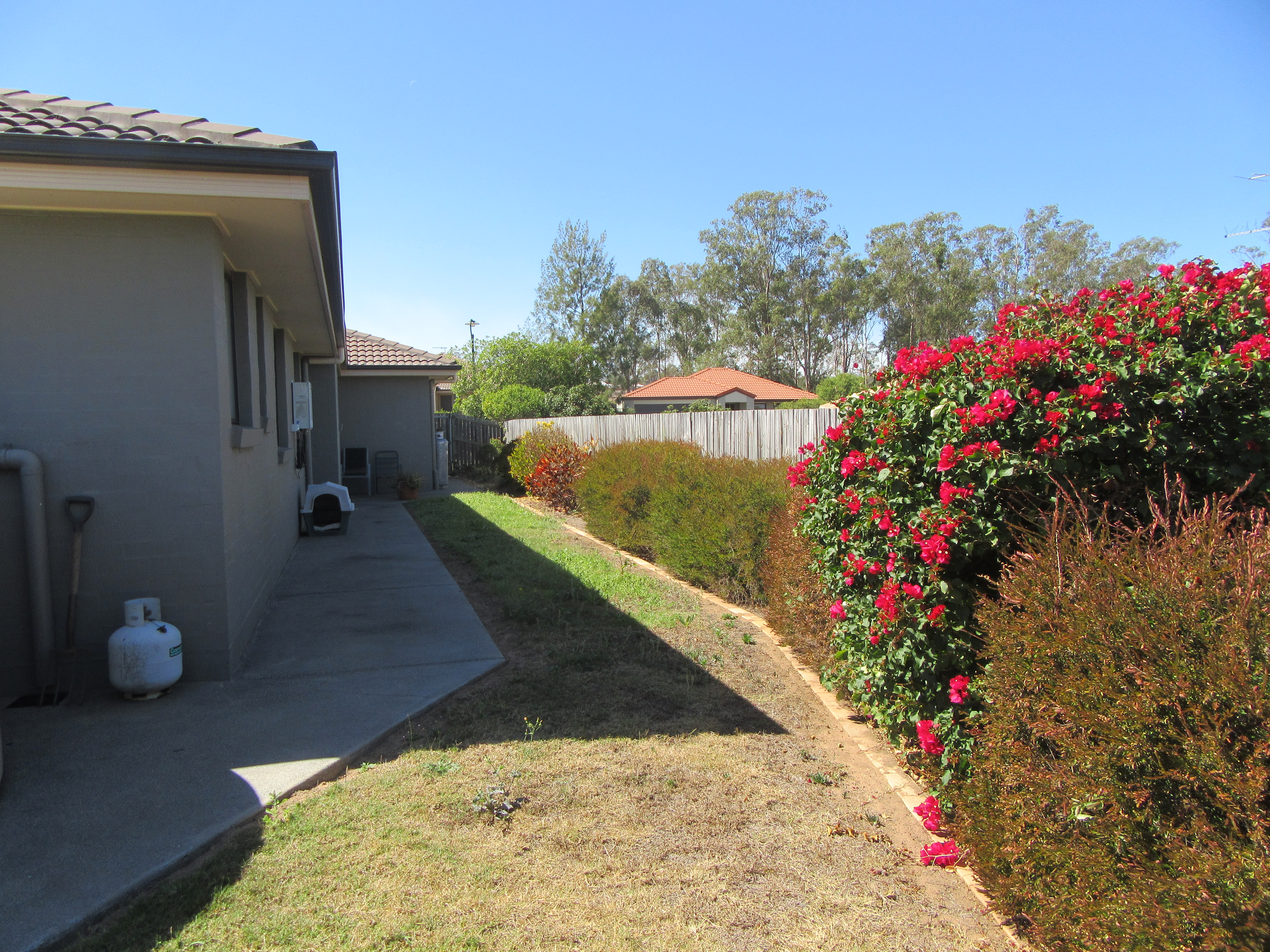 62 Tequesta Drive, Beaudesert - Thumbnail 8