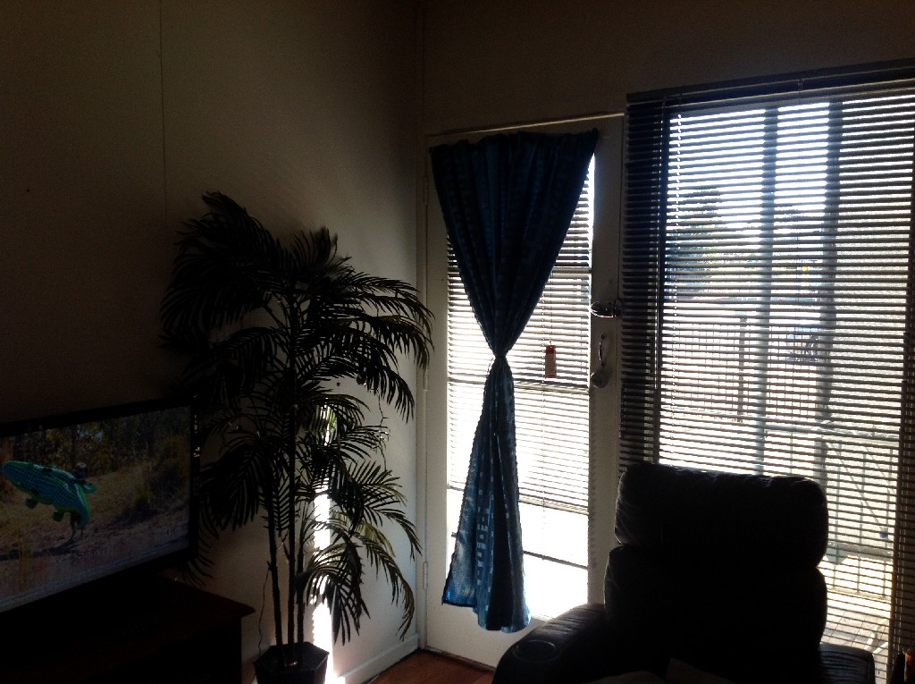 1&2/A GREAT INVESTMENT RETURNING $530per week, Beaudesert - Thumbnail 3