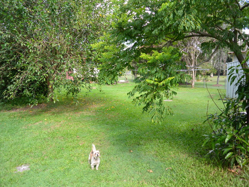 63 Running Creek Road, Rathdowney - Thumbnail 5